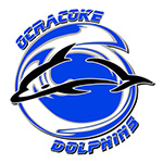 Ocracoke Dolphins